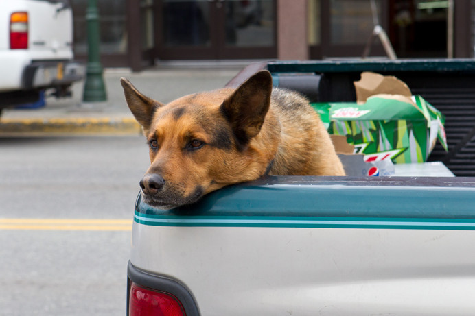 Waiting for Master, downtown Anchorage
