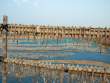 DriedFishOnRack_OM53290