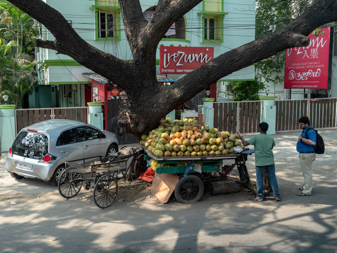 CoconutCart_OM50276