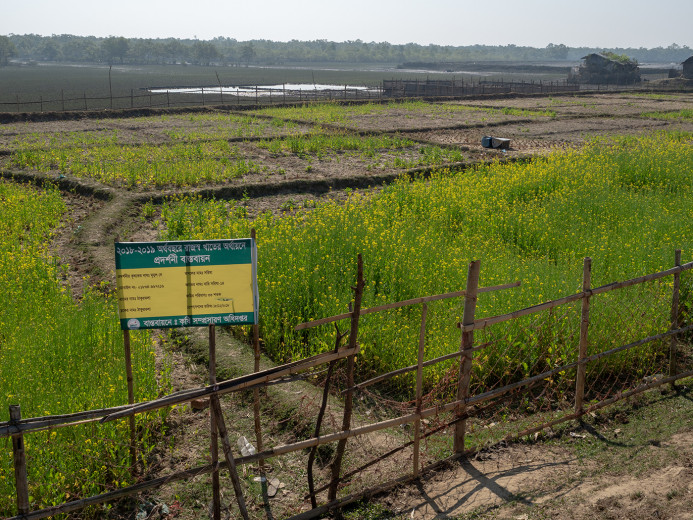RepeseedDemoPlot_OM53776