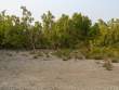 FloodedAtSpringHighTide_OM53617
