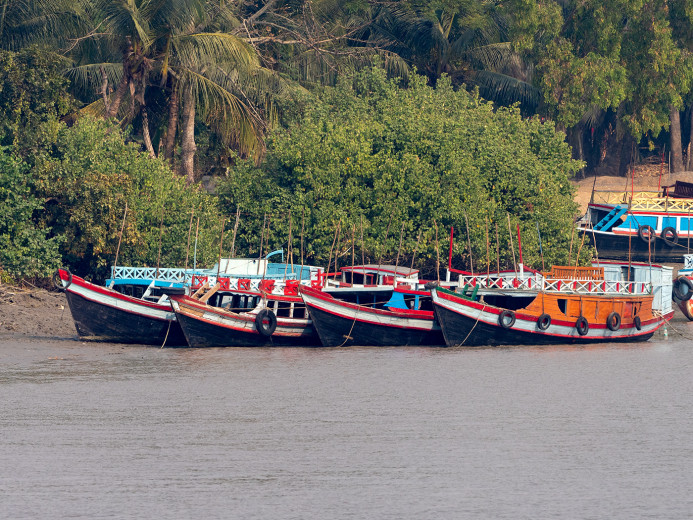 BoatQuartet_OM01180
