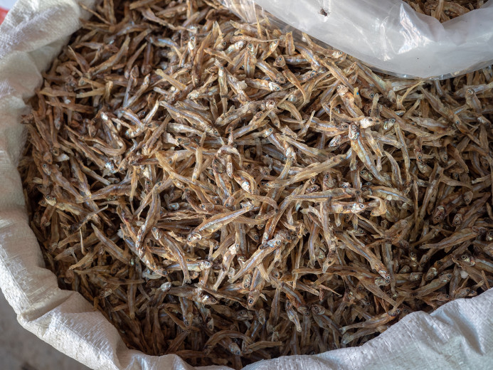 DriedFish_OM54290