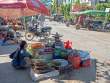 FishEtc_OM54268