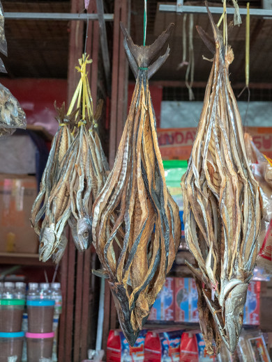 SplitDryFish_OM54356