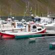 Einar Boat in Isafjordur harbor (northwest Iceland); Clipper Adventurer in background.