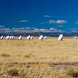 Radio antennas in the Very Large Array
