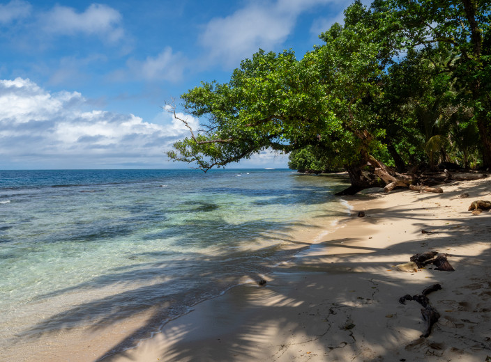 TamiBeach_OM73084
