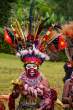 PatrioticHeaddress_OM19941