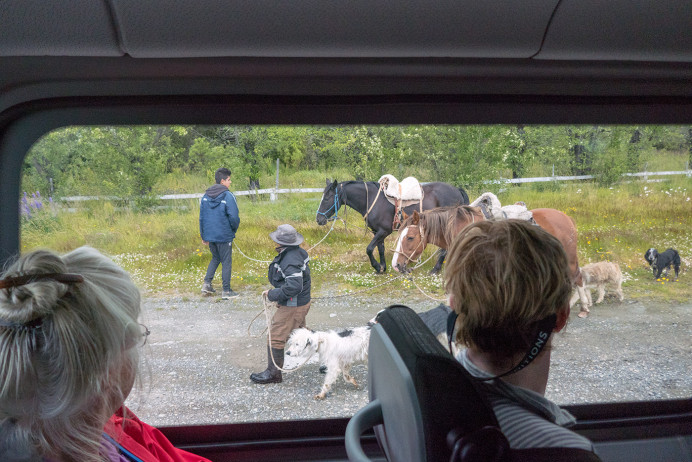 GauchosFromBus_ZS70655