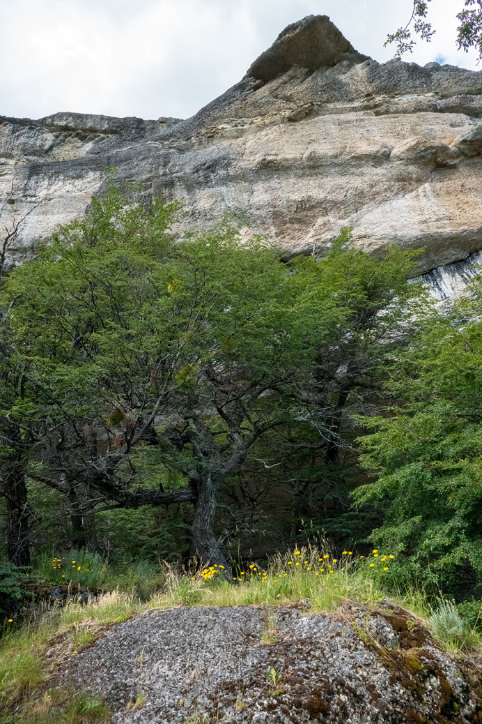 NearMylodonCave_ZS70760