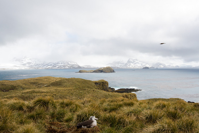 NestWithAView_7D0445