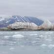 IceOnIsland0985