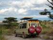 OurTransport_OM65193