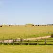 Field near Stonehenge with burial mounds at horizon