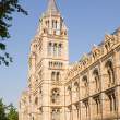 British Natural History Museum