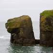 Small stack with a few kittiwakes, Dunmore East, Co. Waterford, Ireland