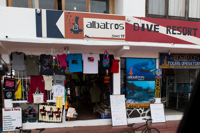 AlbatrosDive_1D X4179