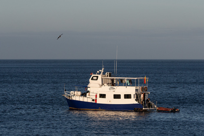 KingOfTheSea2_1D X8872